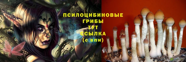 мдпв Беломорск