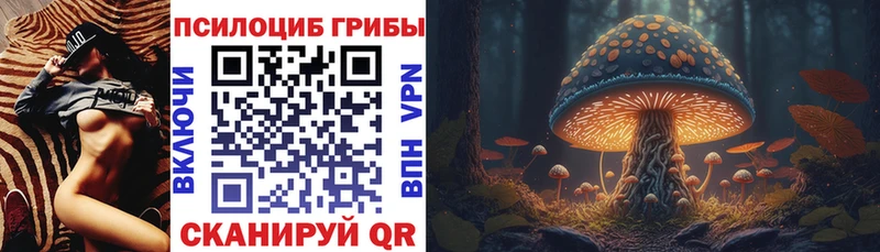 MEGA ссылки  Кукмор  Галлюциногенные грибы мицелий 